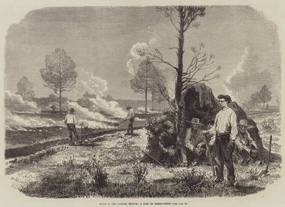 Incendios en las Landas, Francia, un puesto de observación de English School