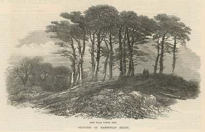Abetos cerca del extremo norte, Hampstead Heath de English School