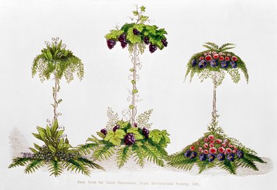 Primer premio por decoración de mesa, Royal Horticultural Society, 1851 de English School