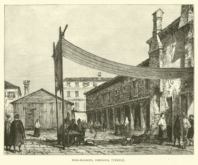 Mercado de pescado, Chioggia, Venecia de English School