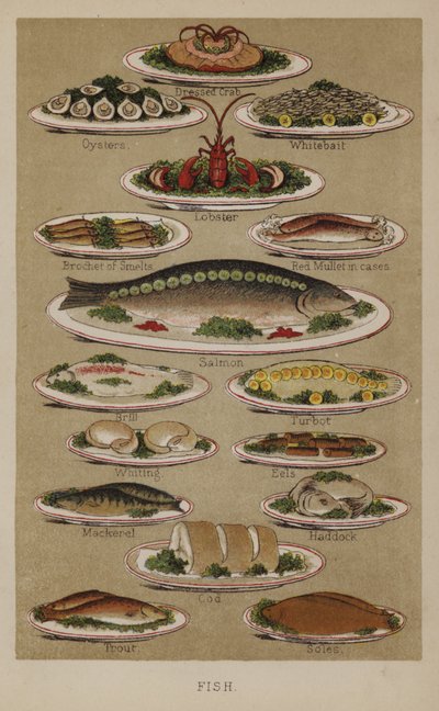 Pescado de English School