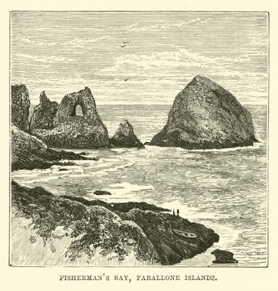 Bahía de los Pescadores, Islas Farallón de English School