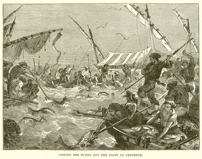 Pesca de atún en la costa de Provenza de English School