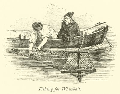 Pescando Pejerrey de English School