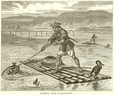 Pesca con Cormoranes de English School