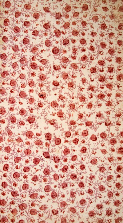 Papel de guarda floral grabado a mano de English School