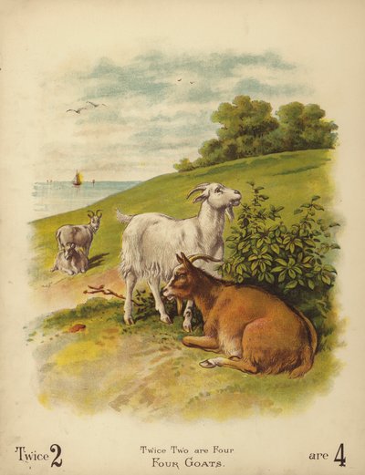 Cuatro cabras (cromolito) de English School