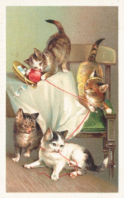 Cuatro gatos jugando con un ovillo de lana de English School