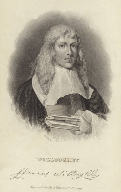 Francis Willughby de English School