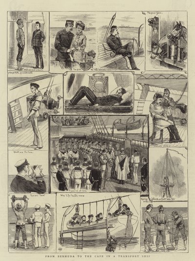 De Bermudas al Cabo en un barco de transporte (grabado) de English School