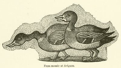 Del mosaico de Aviñón (grabado) de English School