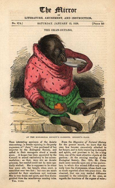 Portada de The Mirror del 13 de enero de 1838 celebrando la llegada de un orangután a los Jardines de la Sociedad Zoológica en Regent