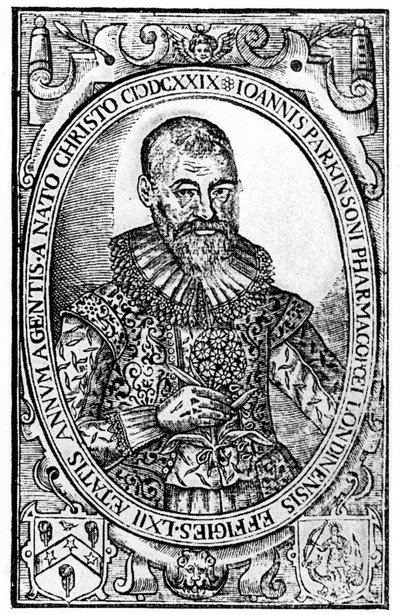 Frontispicio de Paradisi in Sole Paradisus Terrestris por John Parkinson, publicado en 1629 de English School