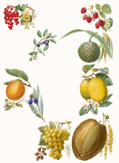 Frutas de English School
