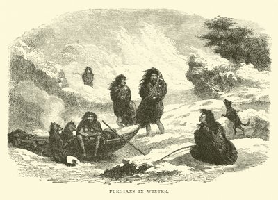 Fueguinos en invierno de English School