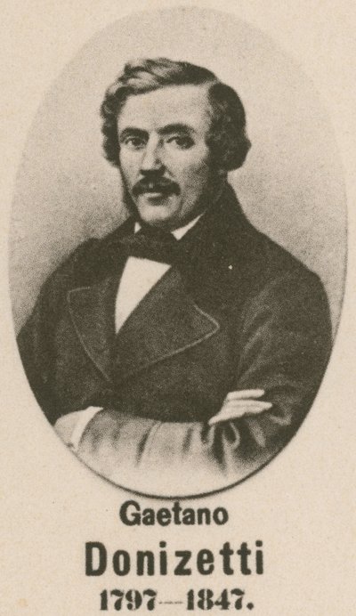 Gaetano Donizetti de English School