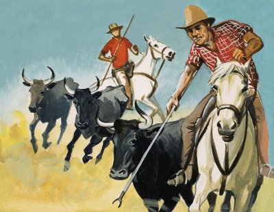 Gardianos de la Camarga de English School
