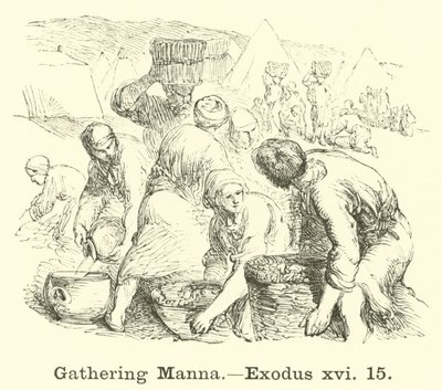 Recogiendo el maná, Éxodo, xvi, 15 de English School