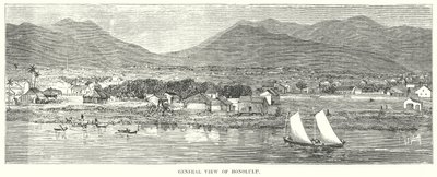 Vista general de Honolulu (grabado) de English School