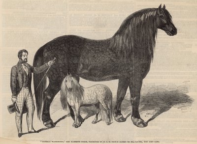 General Washington, el caballo mamut de English School