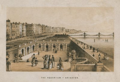 Vista general del Acuario en Brighton de English School