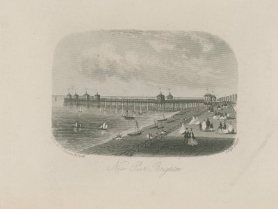 Vista general del nuevo muelle en Brighton de English School