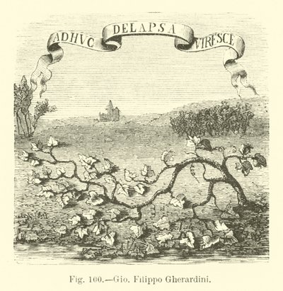 Giovanni Filippo Gherardini de English School