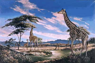 Jirafas en África de English School