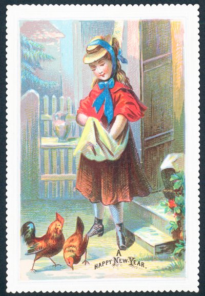 Niña alimentando gallinas de English School