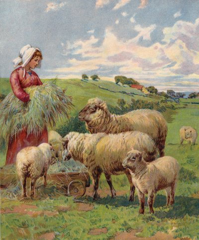 Niña alimentando ovejas (litografía en color) de English School