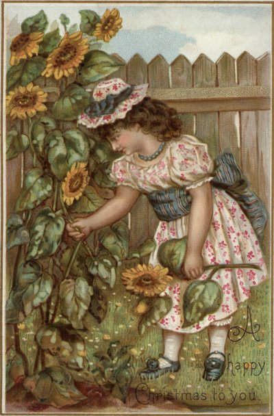 Niña recogiendo girasoles en un jardín de English School