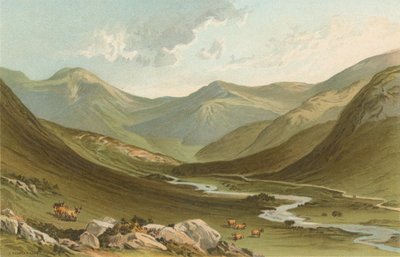 Glen Nevis de English School
