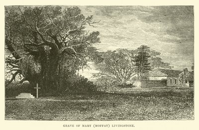 Tumba de Mary (Moffat) Livingstone de English School