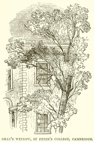 Ventana de Gray, Colegio de San Pedro, Cambridge de English School