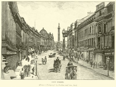 Calle Grey de English School