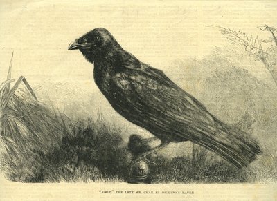 Grip, el cuervo mascota de Charles Dickens (litografía) de English School