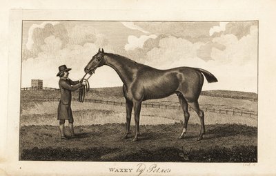 Mozo con el caballo de carreras de pura sangre Waxey por Pot80 de English School