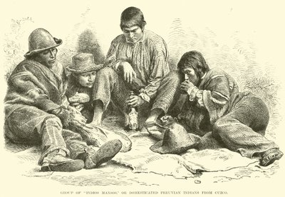 Grupo de Indios Mansos, o indios peruanos domesticados de Cuzco de English School