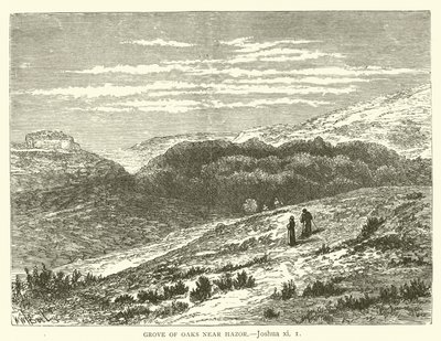 Bosque de Robles cerca de Hazor, Josué, xi de English School
