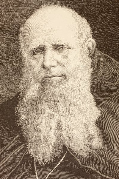 Guglielmo Massaia (litografía) de English School