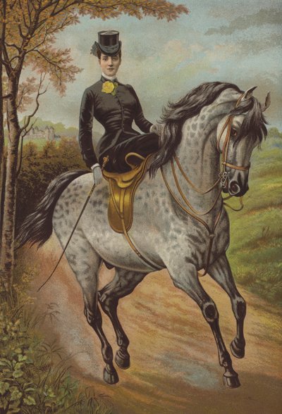 S.A.R. la Princesa de Gales (cromolito) de English School