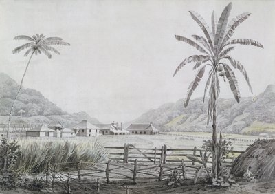 Halse Hall, Jamaica, c.1780 de English School