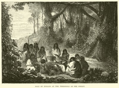 Parada de indios en el umbral del bosque de English School