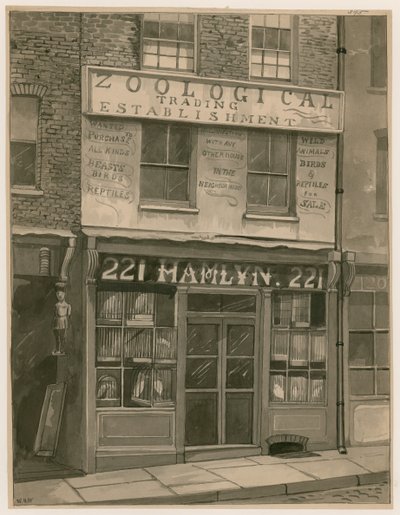 Comercio Zoológico de Hamlyns, 221 St Georges Street, London Docks de English School
