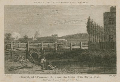 Hampstead y Primrose Hills, desde la carretera del Duque de Bedford de English School
