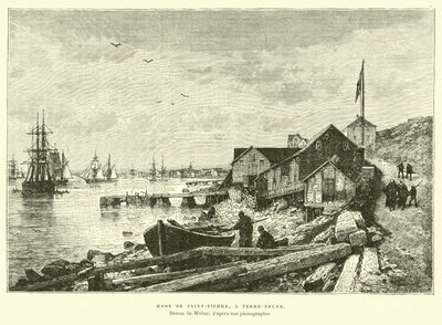 Puerto de Saint-Pierre, Terranova de English School