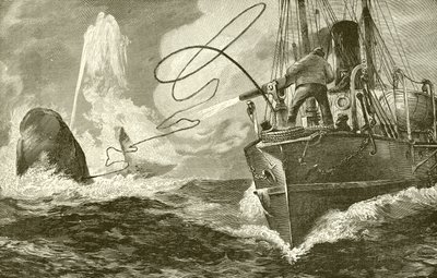 Arponeando una ballena desde un vapor de English School