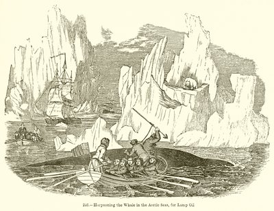 Arponeando la ballena en los mares árticos, para aceite de lámpara de English School