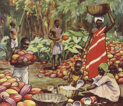 Cosecha de cocos (litografía en color) de English School