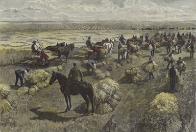Cosechando trigo en las llanuras de América del Norte de English School